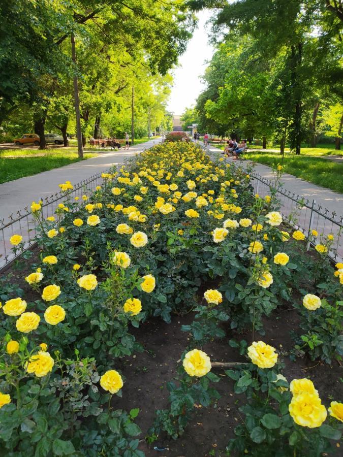 1-Комн. Квартира В Центре Возле Козак Палаца! Zaporizhia 外观 照片